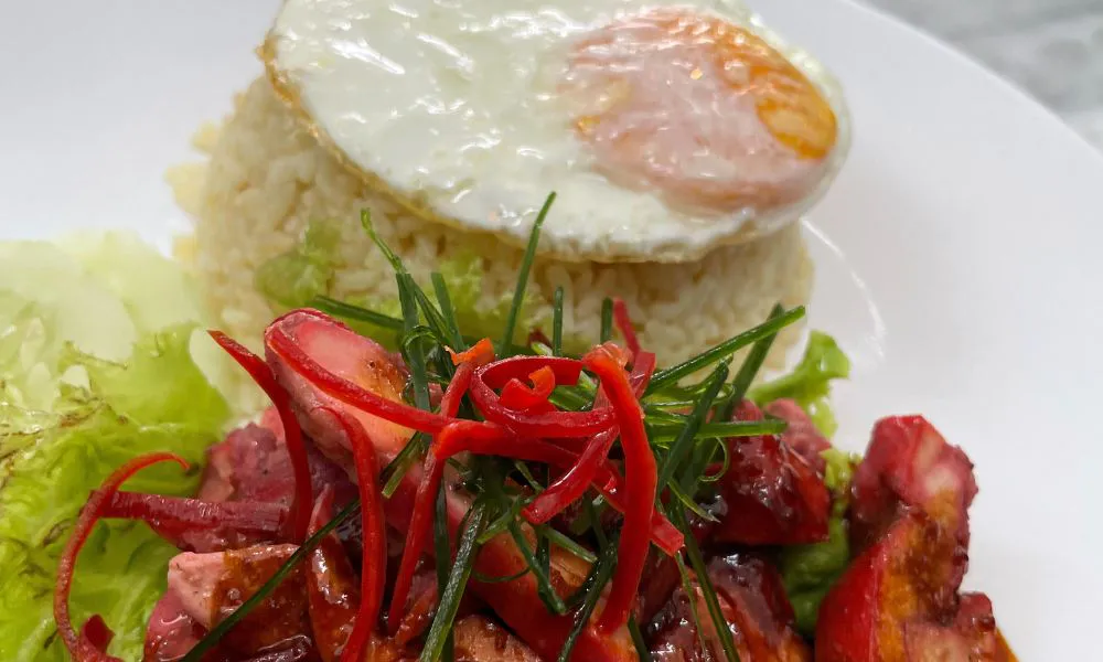 Char siu pork rice with fried egg, chili, and scallions at Oriental Express, a Chinese Restaurant in Denville